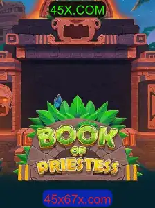 Desvendando o Fascinante Mundo de BookOfPriestess: Uma Jornada Através das Regras e Introdução ao Jogo